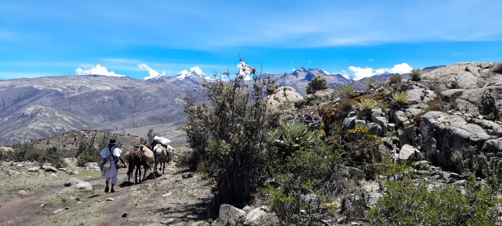Descubre la magia de la Sierra Nevada de Santa Marta